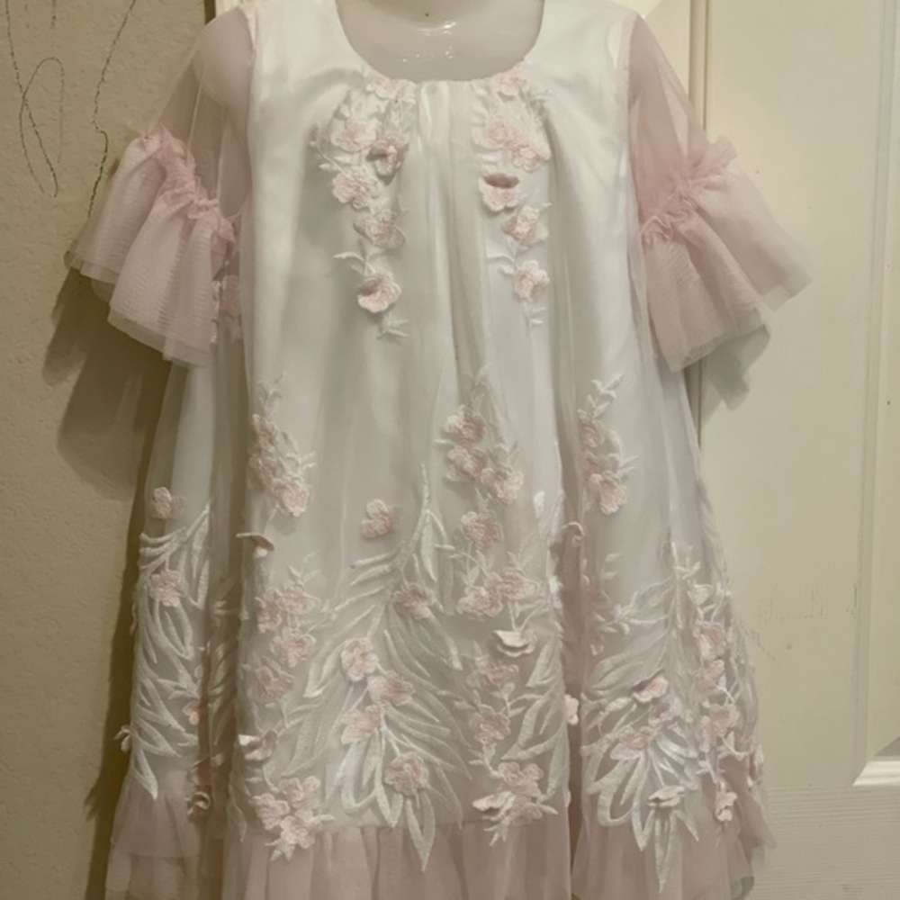 Biscotti collection girls  embroidered net dress